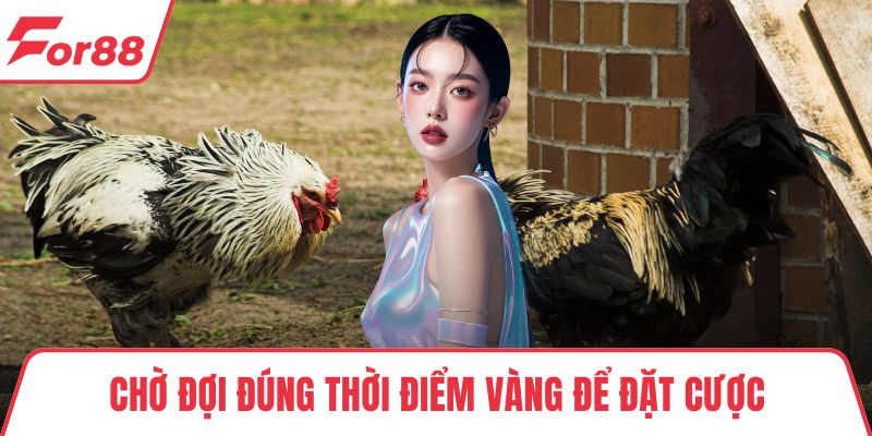 Chờ đợi đúng thời điểm vàng để đặt cược