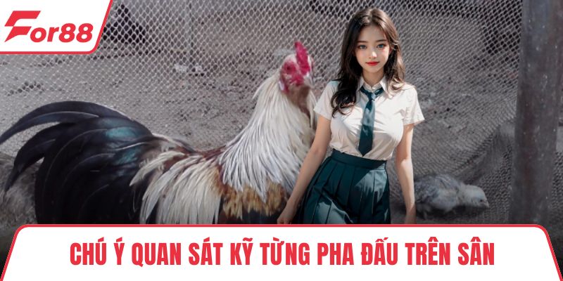 Chú ý quan sát kỹ từng pha đấu trên sân