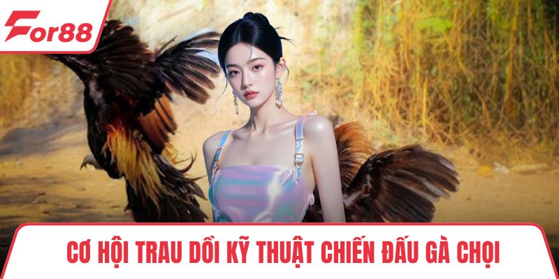 Cơ hội trau dồi kỹ thuật chiến đấu gà chọi