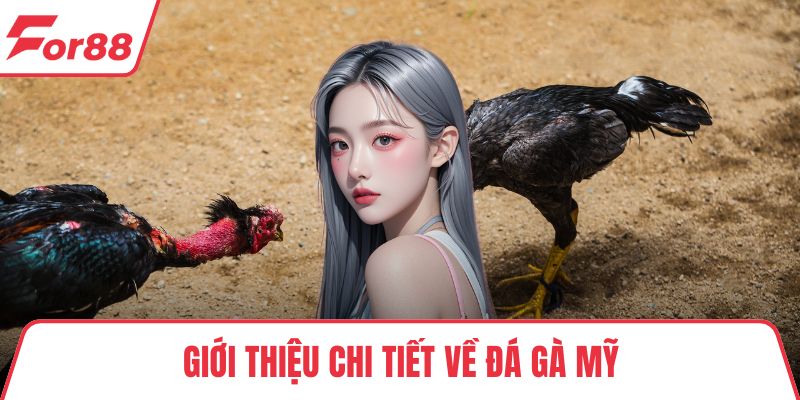 Giới thiệu chi tiết về đá gà Mỹ