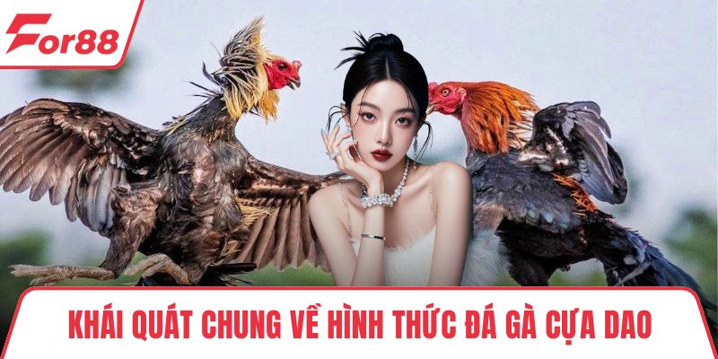 Khái quát chung về hình thức đá gà cựa dao