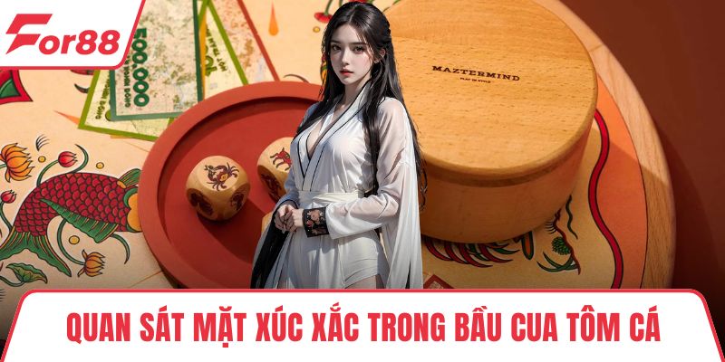 Quan sát mặt xúc xắc trong bầu cua tôm cá