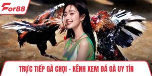 Trực Tiếp Gà Chọi - Kênh Xem Đá Gà Uy Tín, Chất Lượng Cao